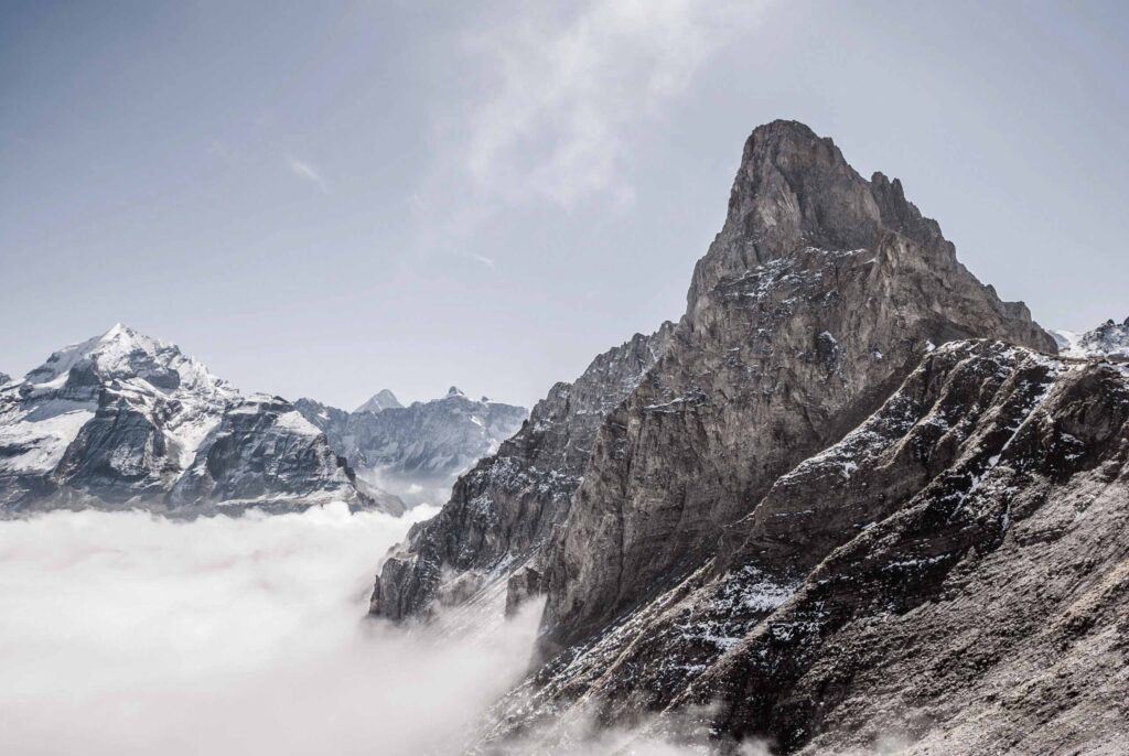 market news fallback